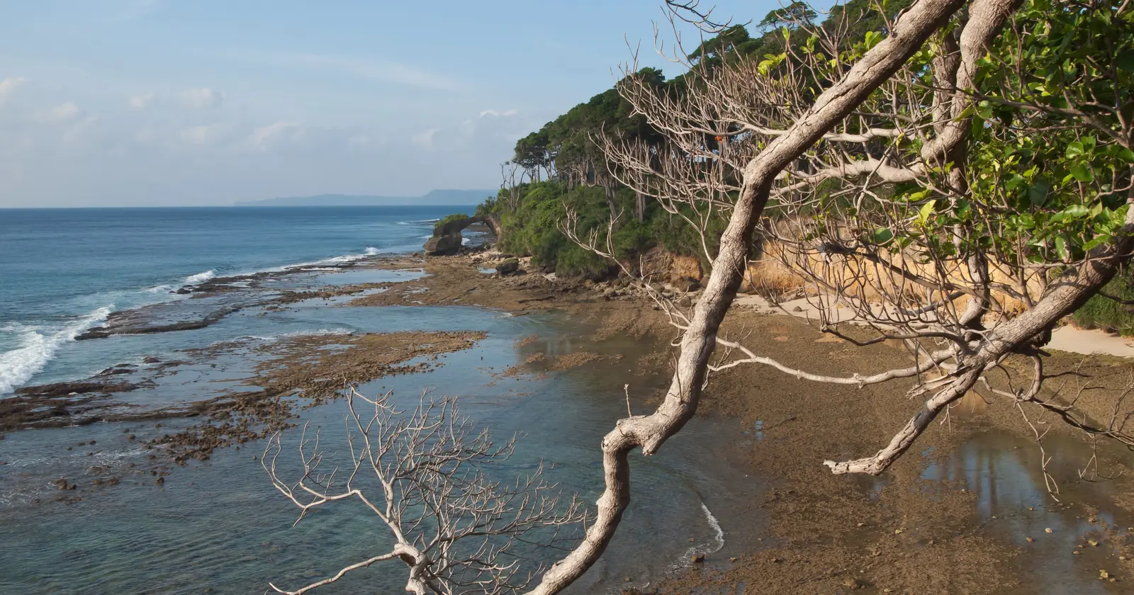 Reef flat and coral-rock arch on the shore of Neil Island, Shaheed Dweep, listed as a whole among the areas open for Andaman Islands diving