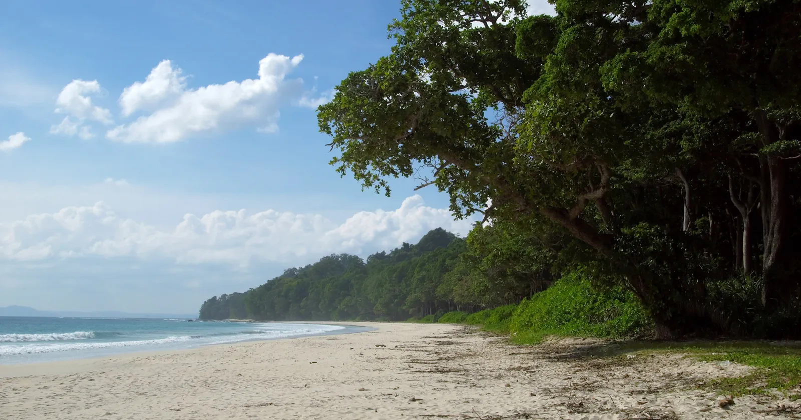 Radhanagar Beach on Havelock Island in India's Andaman Islands, one of two Havelock spots the Andaman diving rules leave off the list of areas open for scuba