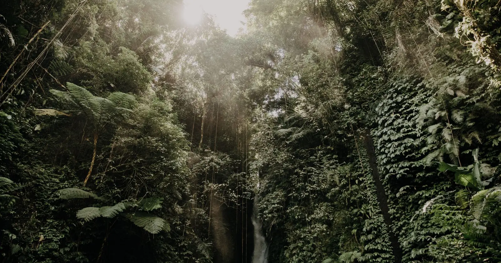 Bali and Lombok, canyoning