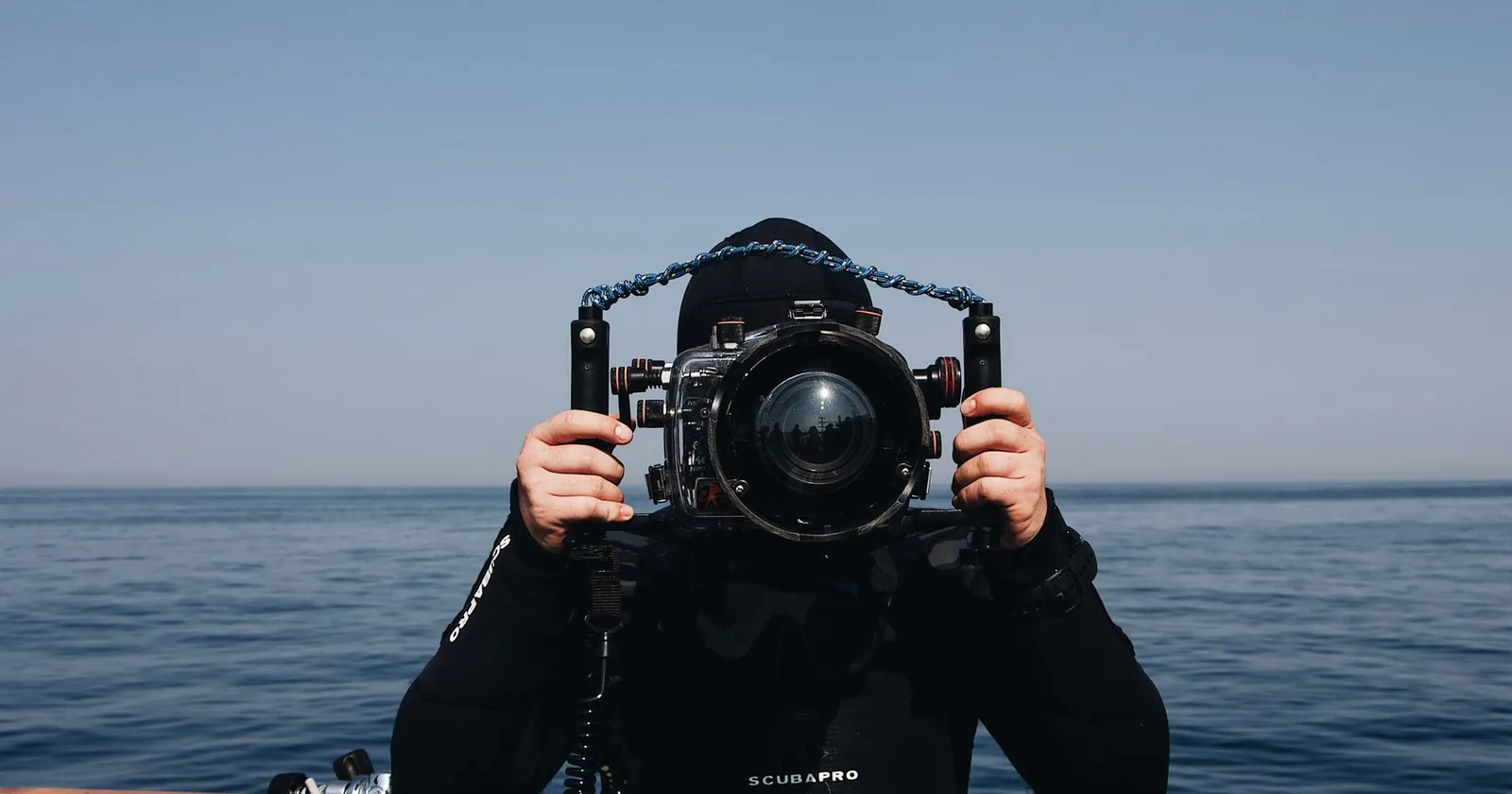 School of silvery fish in blue water, the kind of scene divers film