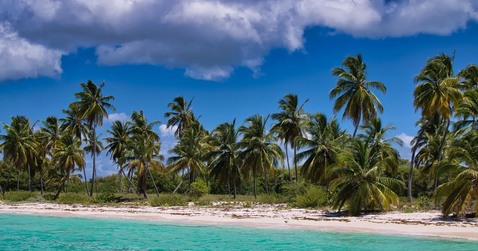 Best Caribbean watersports