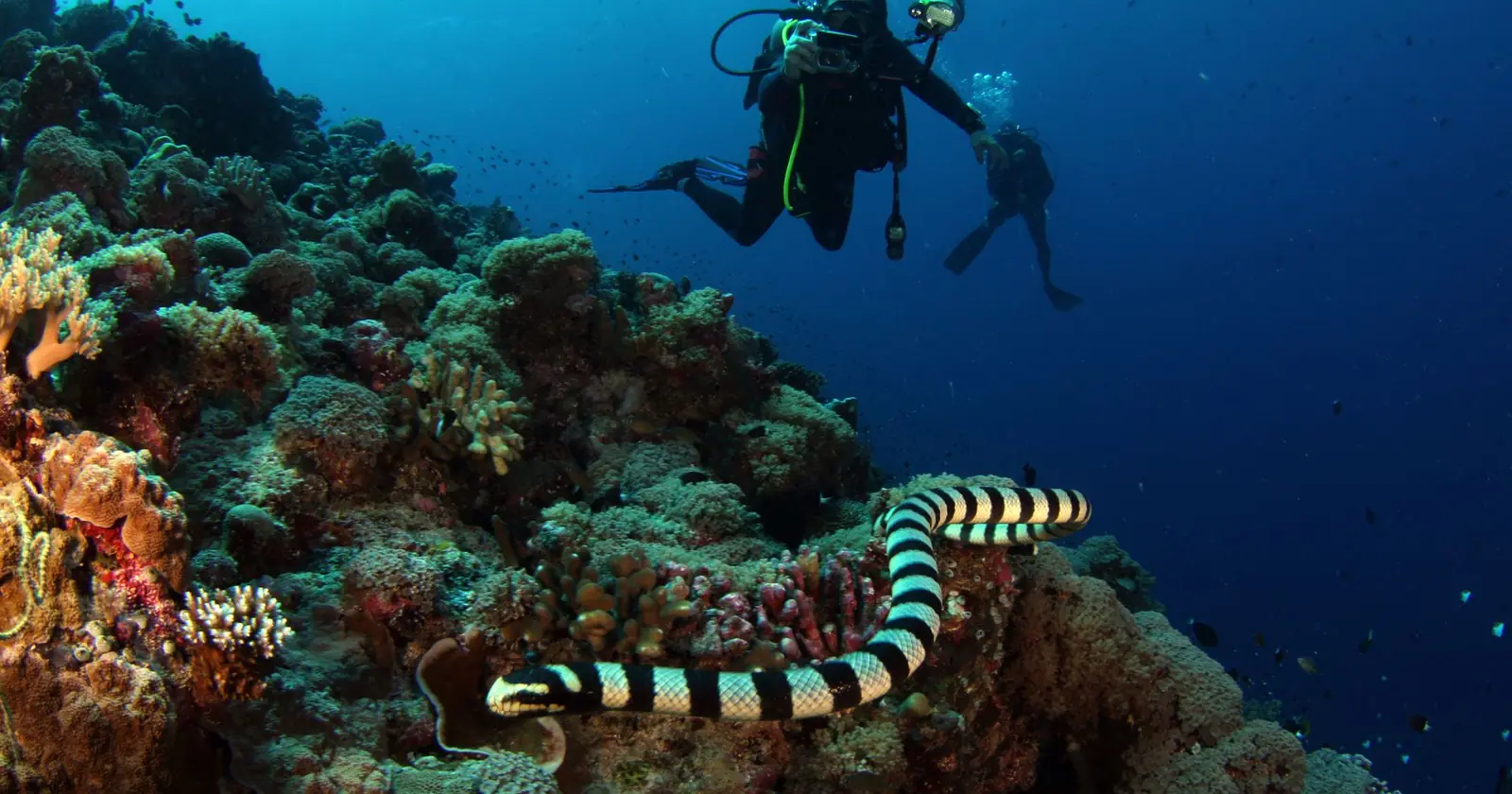 Best places to learn to dive