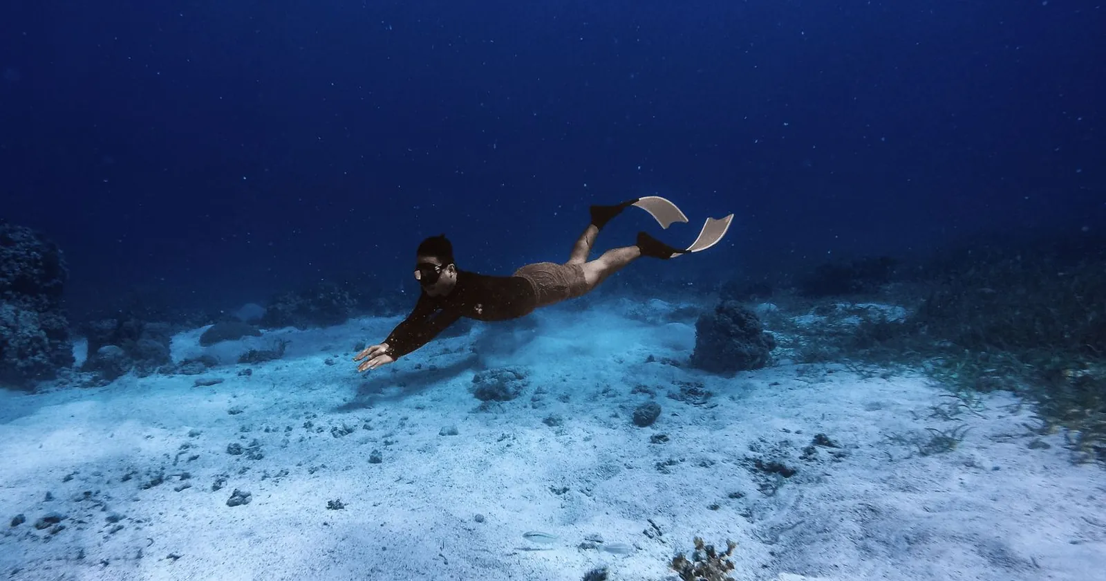 Colourful reef with fish, what good snorkel gear reveals