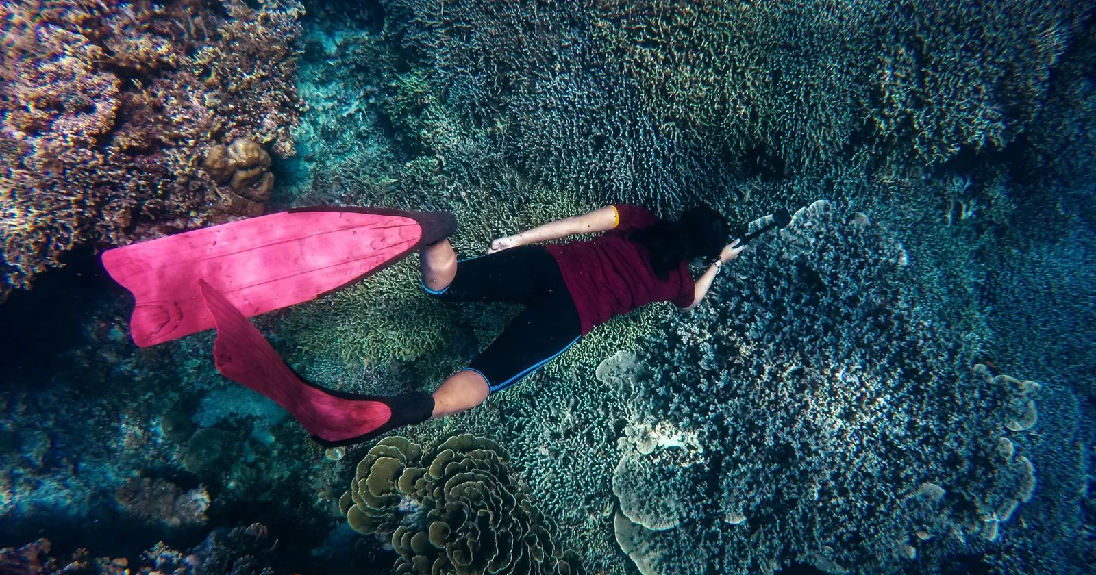 Clownfish in an anemone, the reward of good snorkel gear