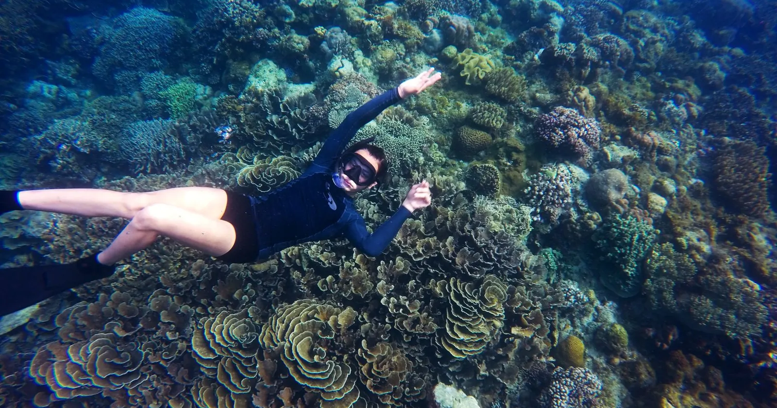 Snorkeller over a shallow reef, generic snorkelling destination