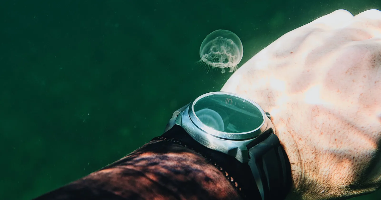 Two scuba divers underwater, choosing the best travel dive computer