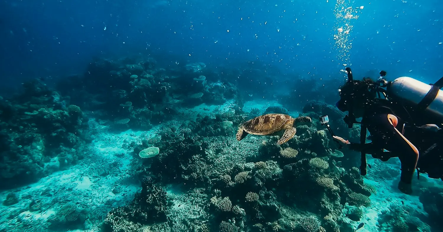 Dive boat moored over a shallow coral bommie in clear water on the outer Great Barrier Reef