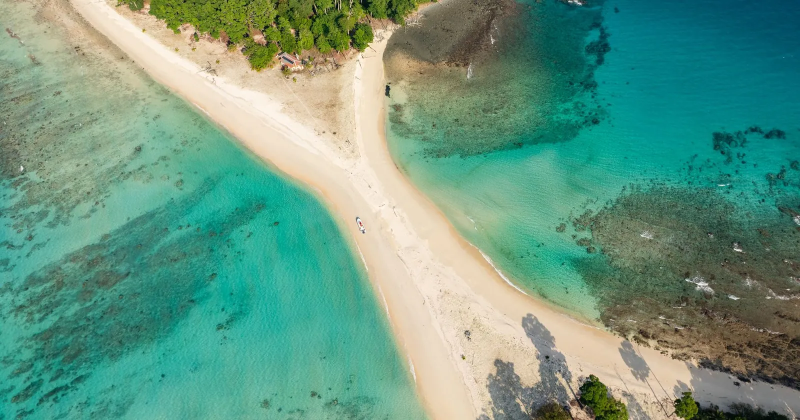 Sunlit coral reef teeming with fish, a digital nomad diving destination