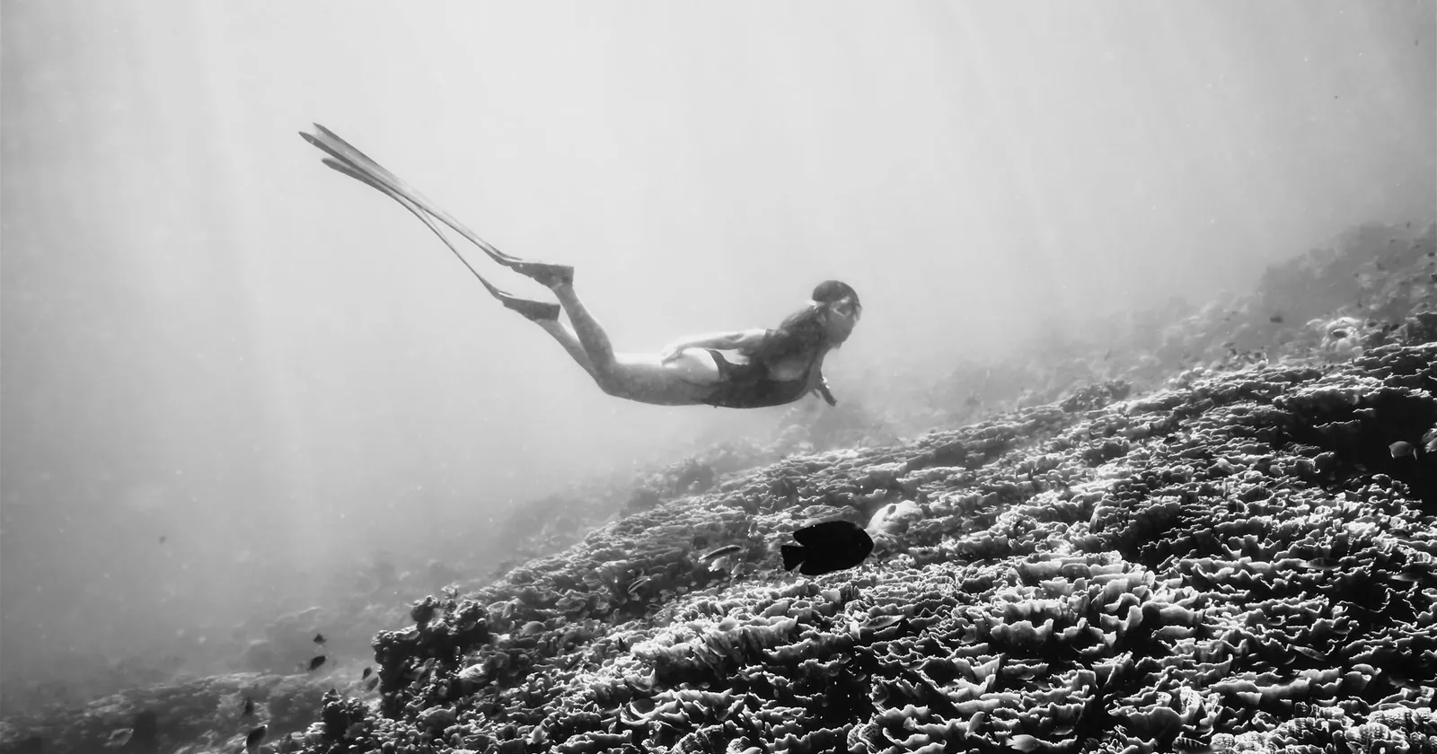Freediver ascending calmly beside a reef wall with a buddy watching