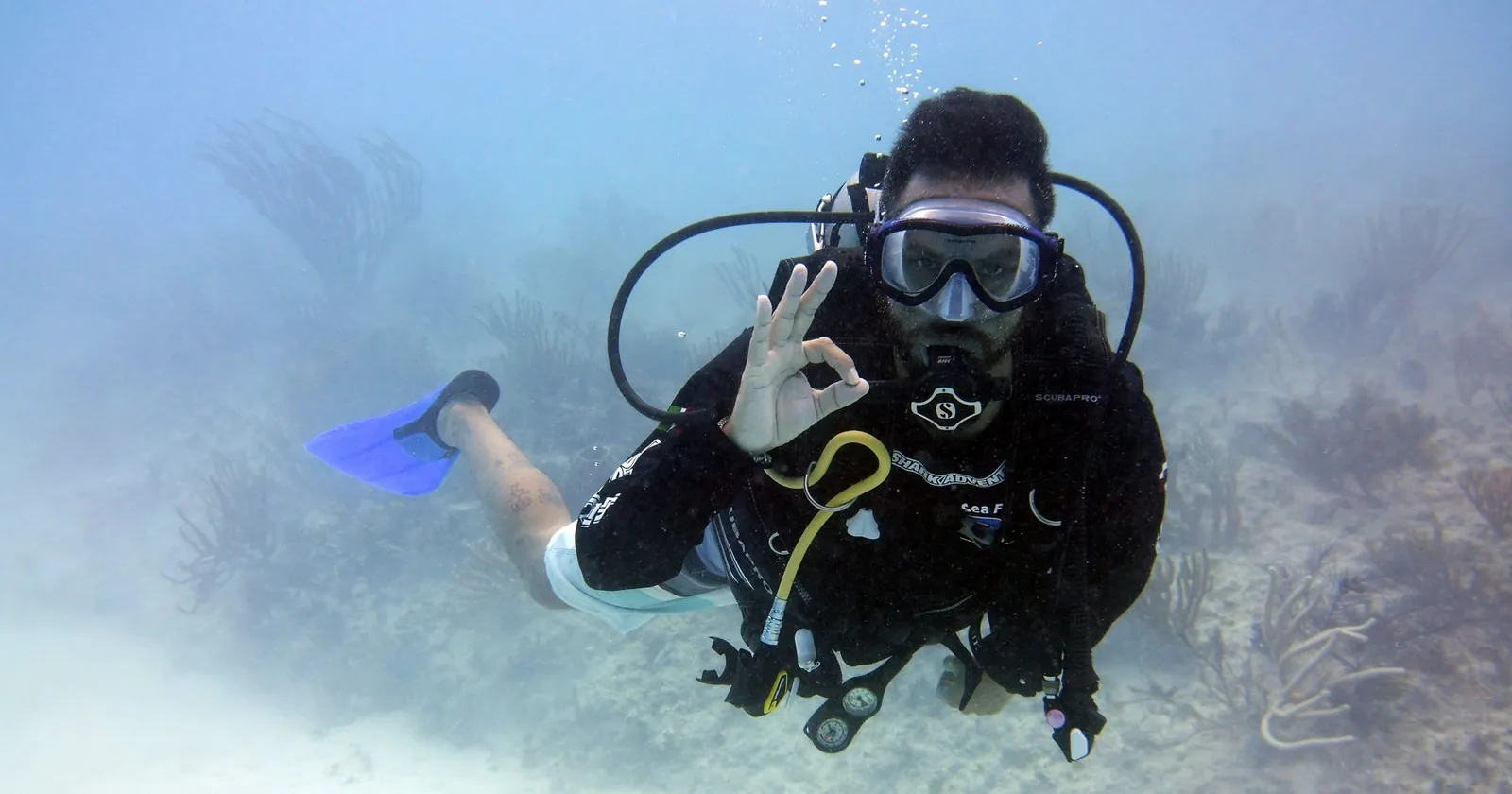 Snorkeller gliding above a sea turtle over a reef, the reward of learning to dive