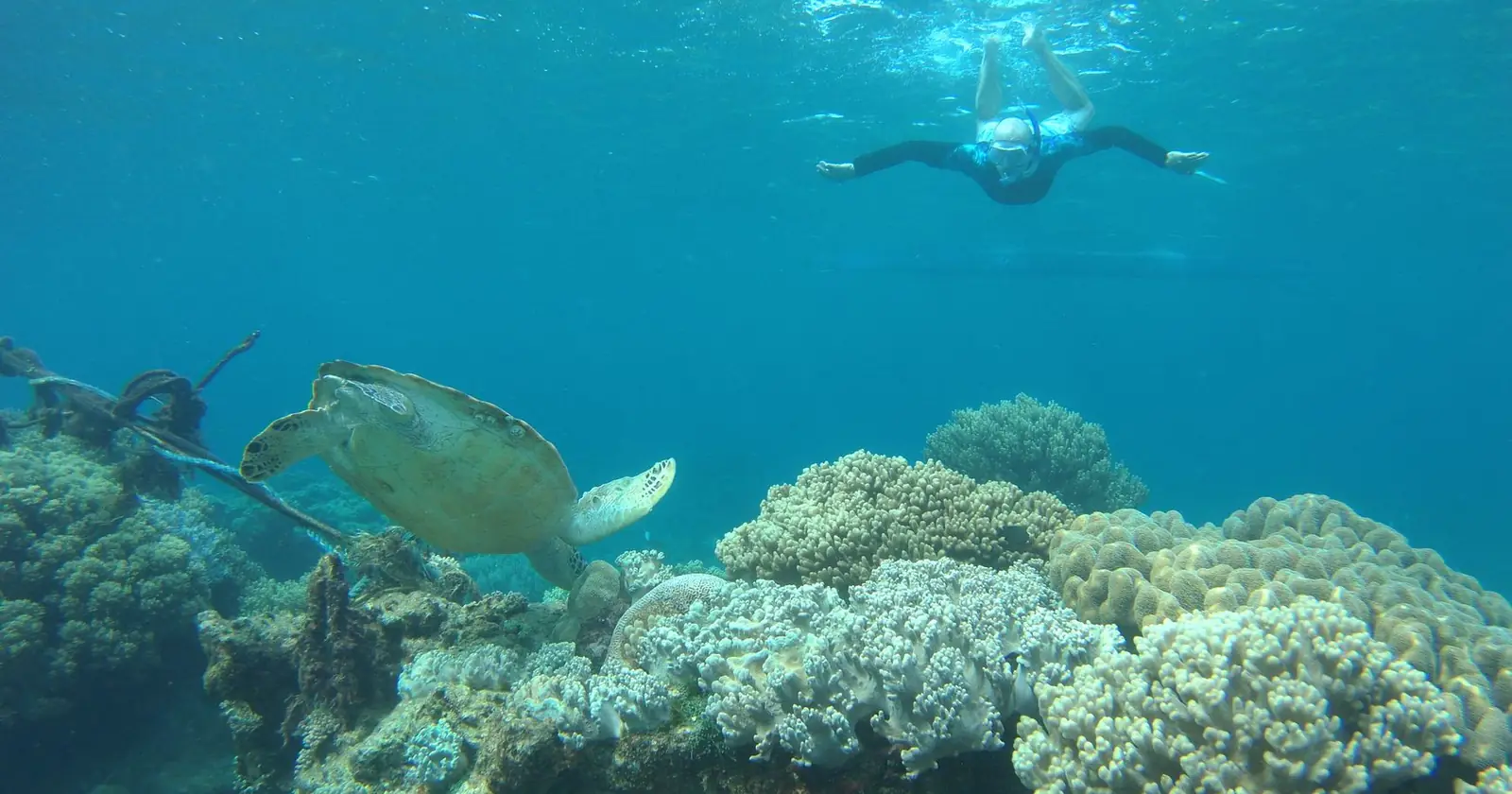 Gili vs Nusa Penida