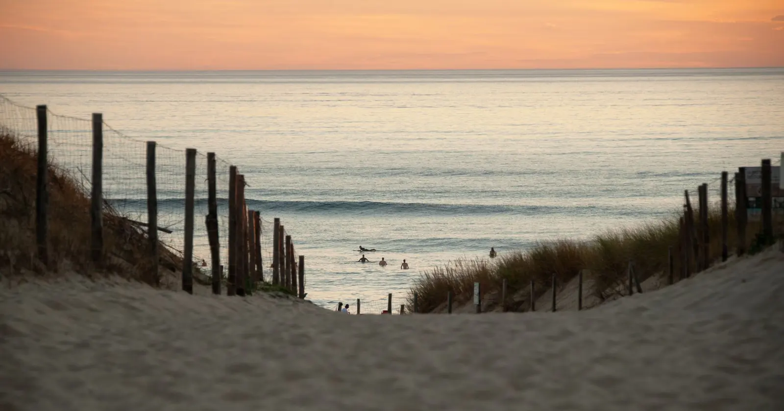 Hossegor, Surf