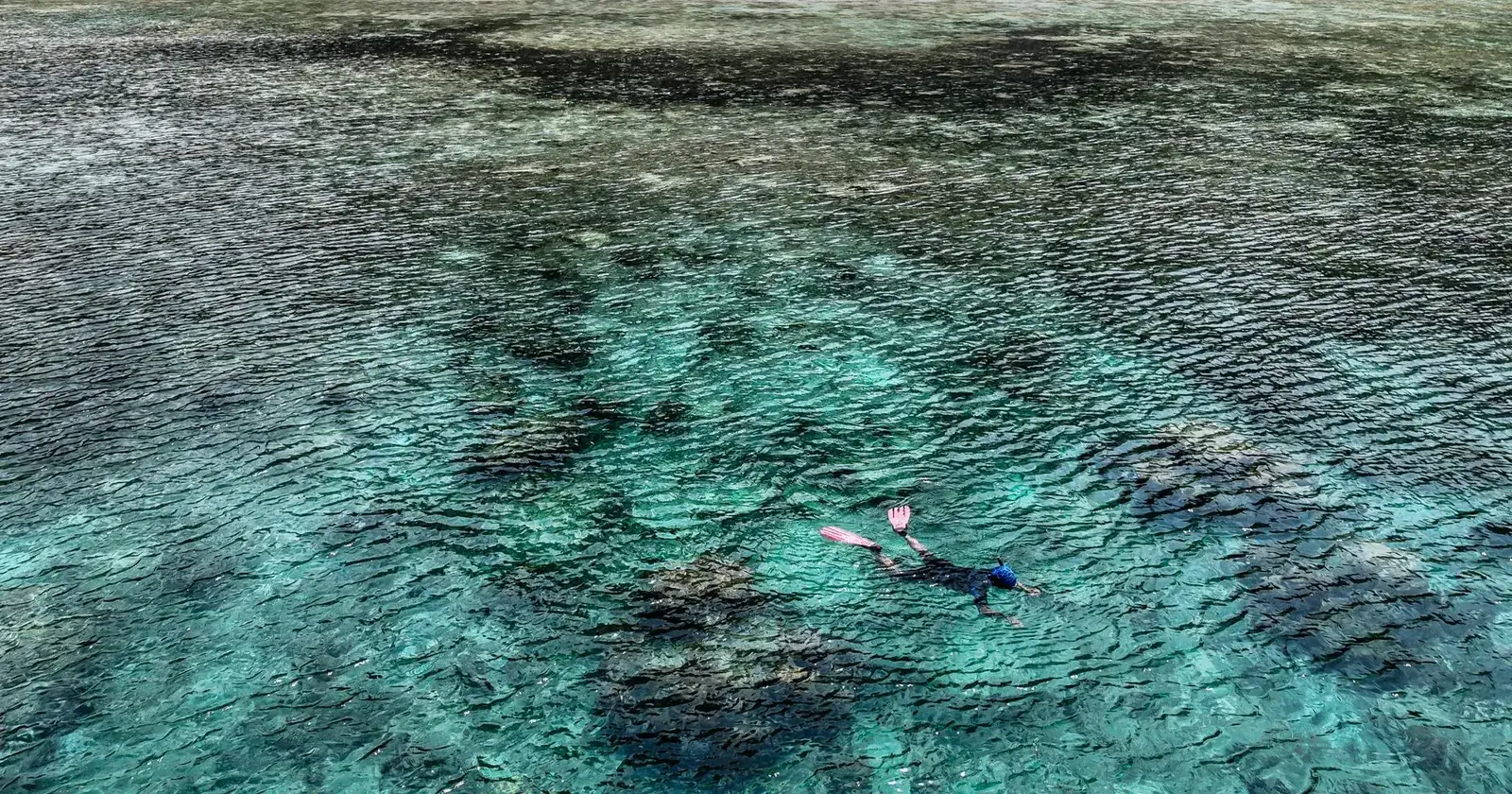 Freediver in a wetsuit and fins descending over a reef, personal dive kit in use