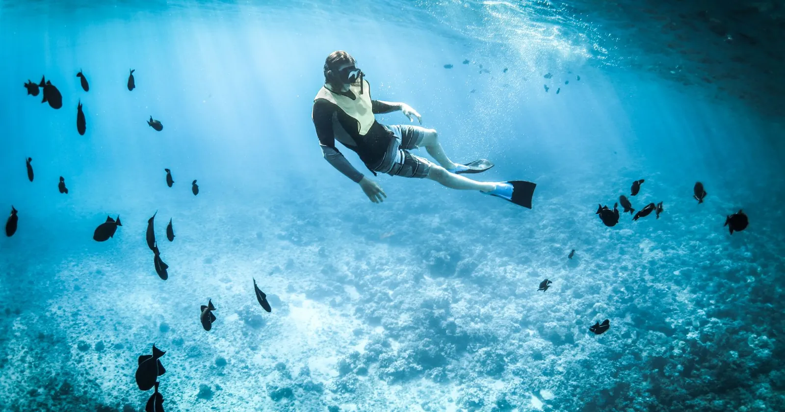 Snorkeller gliding above a sea turtle over a reef