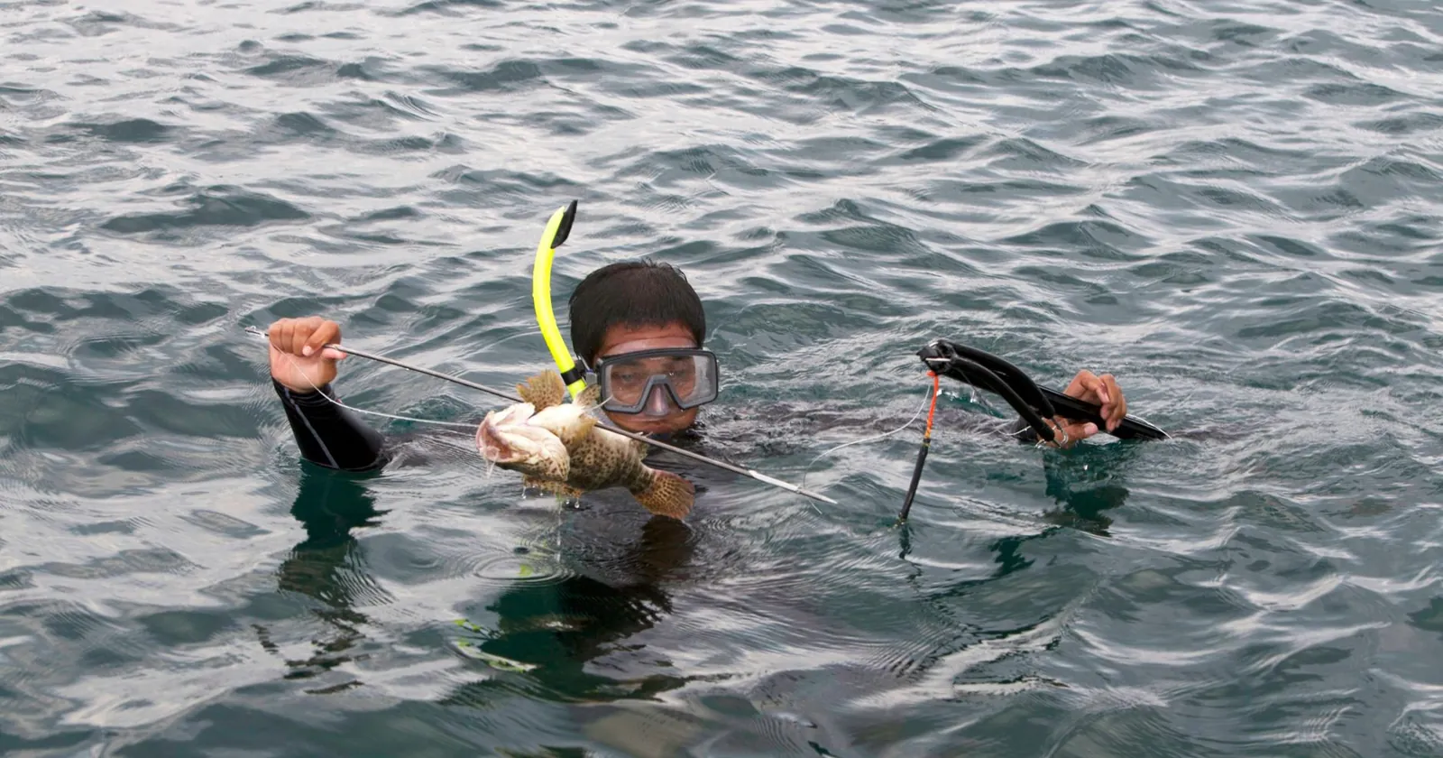 Freediver spearfishing over a reef
