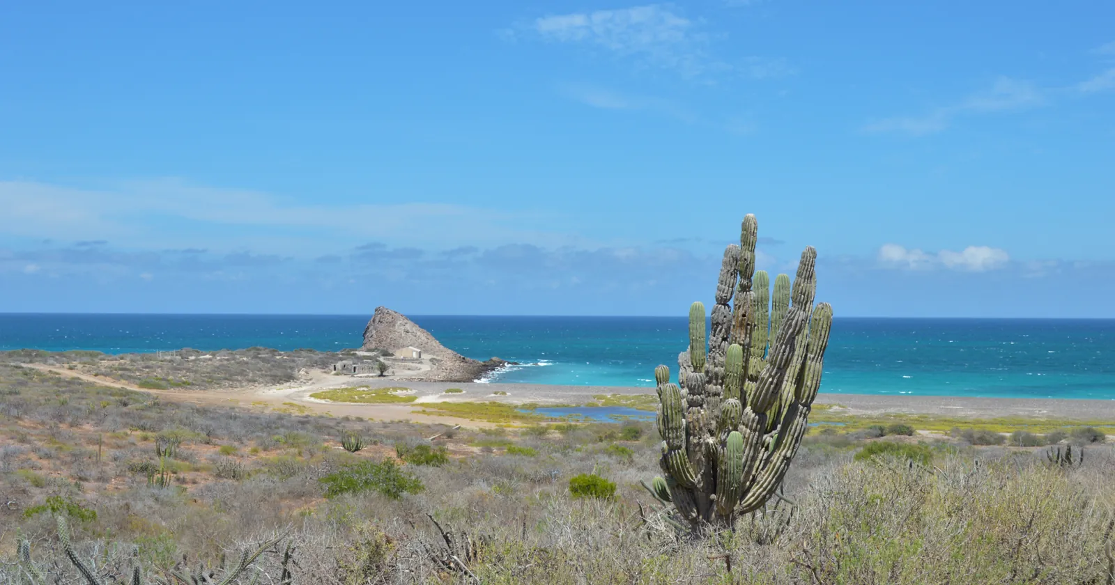 The rocky headland and turquoise bay at Cabo Pulmo seen from the desert above, the coast of the national park that Los Cabos diving trips drive up to