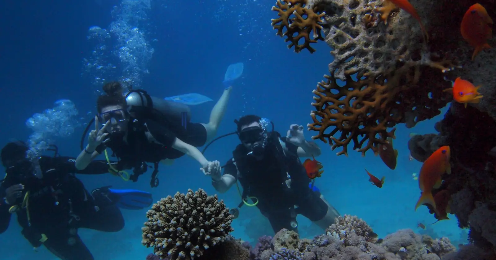 Marsa Alam vs Dahab