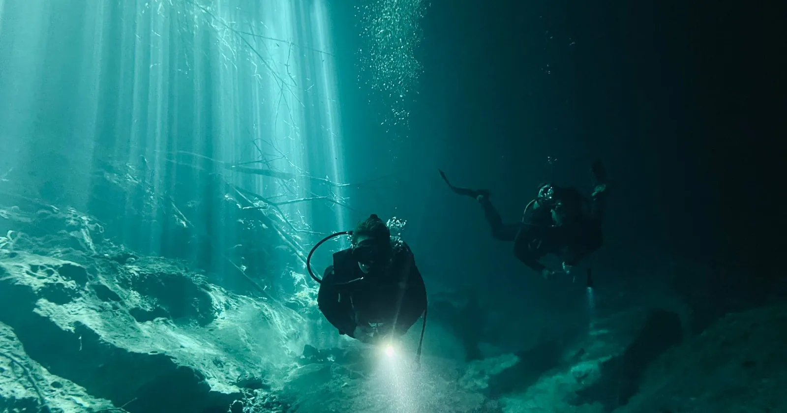 Torch beam lighting up a reef at night