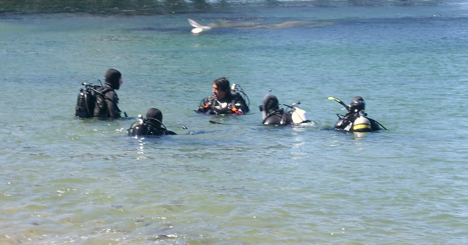 A scuba class of four students with their instructor in shallow water before a training dive, the group size to check at a PADI or SSI dive center