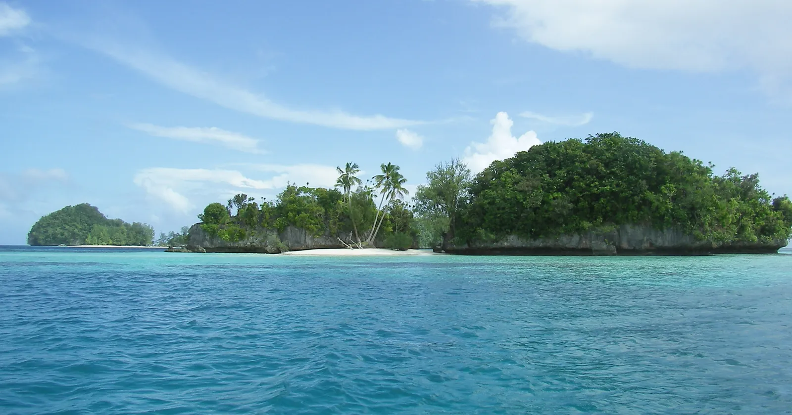 Forested limestone Rock Islands with a white sand beach in a turquoise lagoon, the backdrop to Palau diving