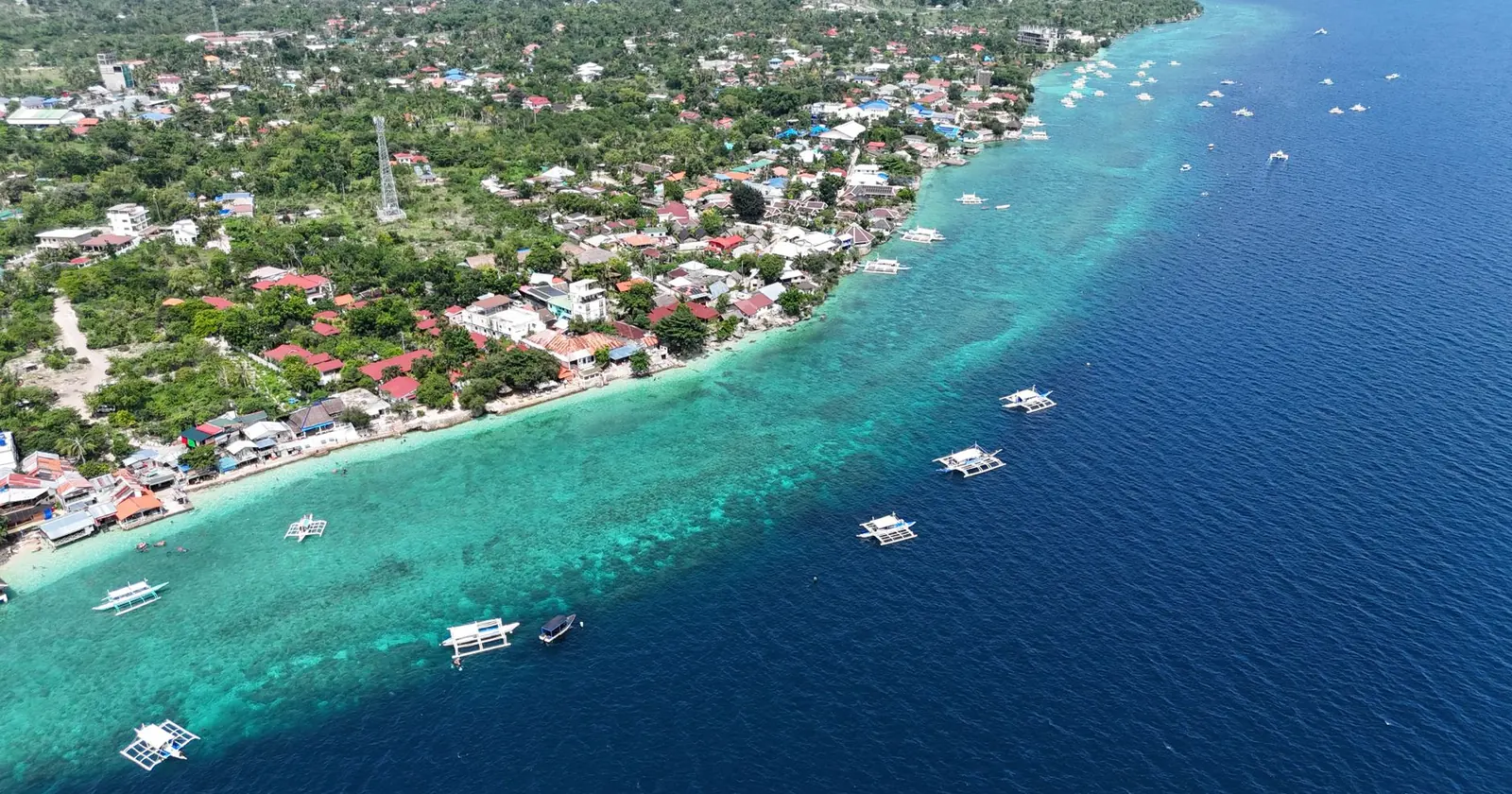 Panglao, Bohol, Diving