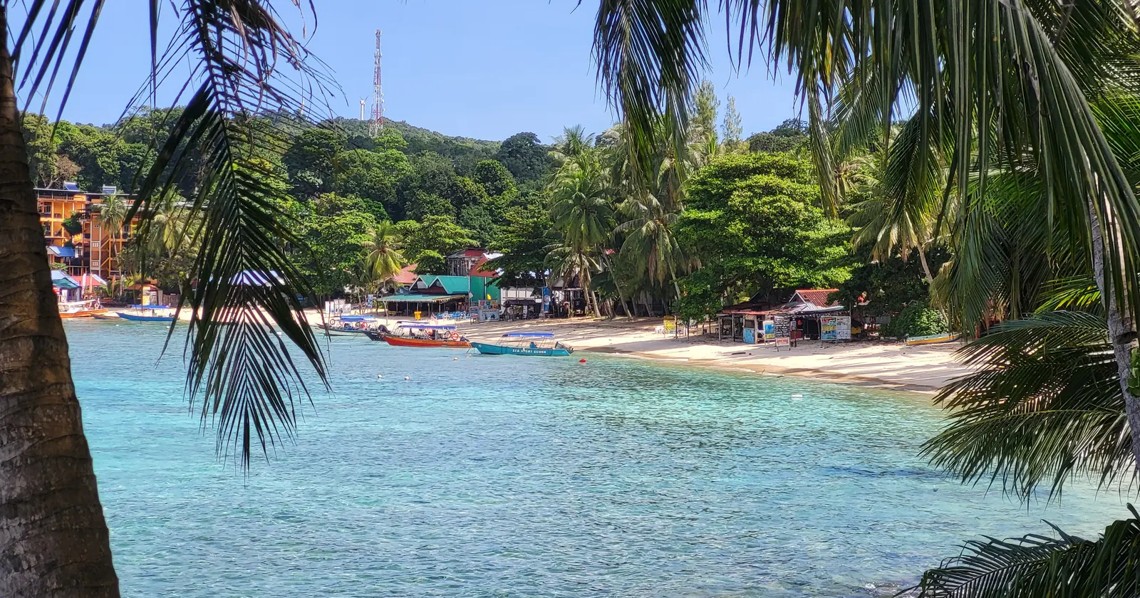 Taxi boats moored in Coral Bay on Perhentian Kecil, framed by palm fronds