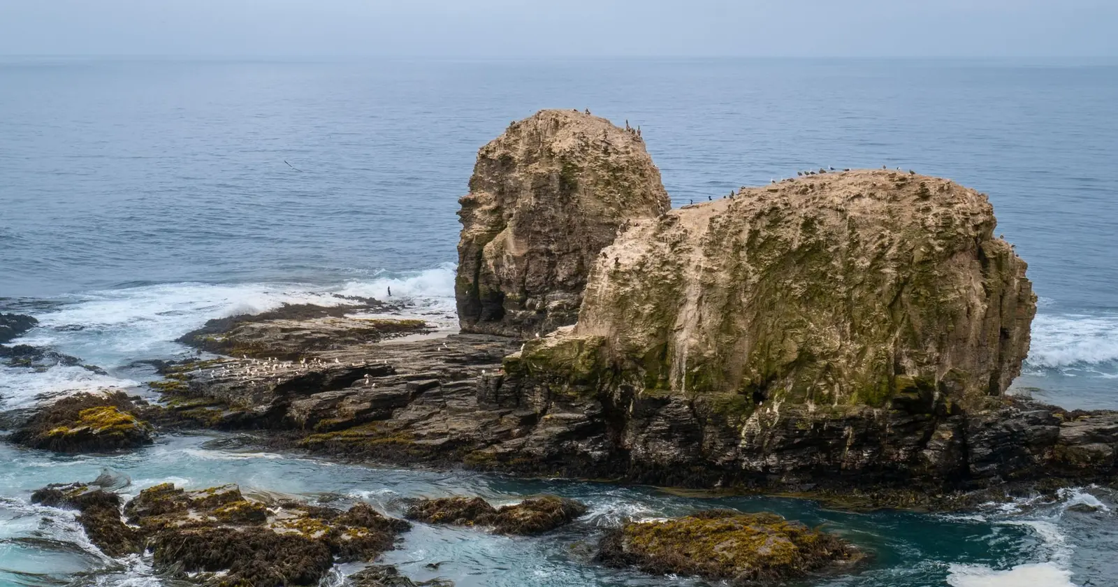 Pichilemu, Surf