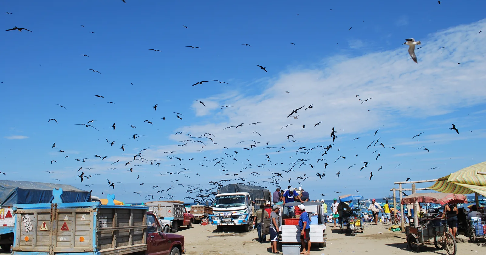 Fishing boats, trucks and frigatebirds on the landing beach at Puerto López, Ecuador