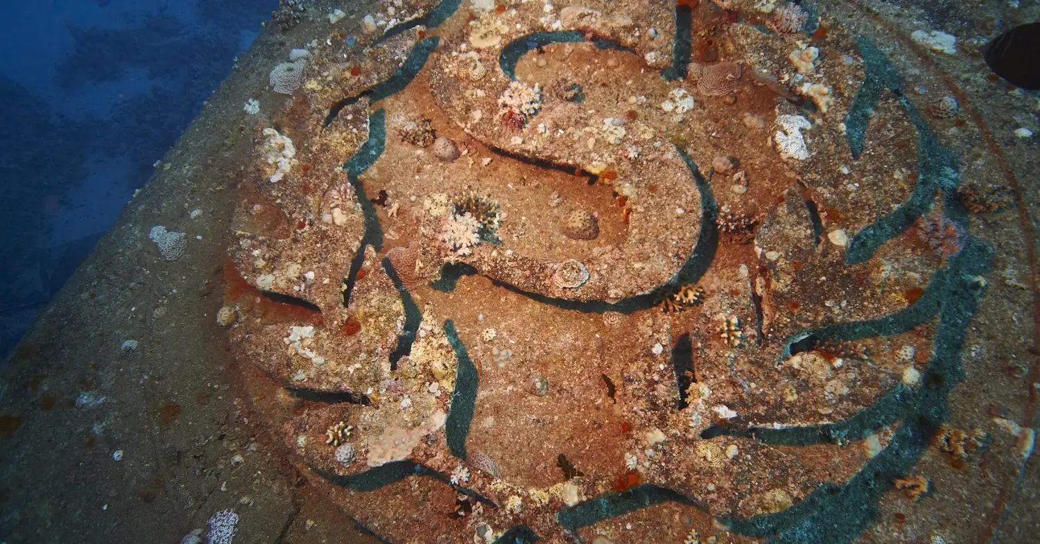 The painted S emblem on the funnel of the Salem Express wreck, the best-known site for Safaga diving, overgrown with small corals