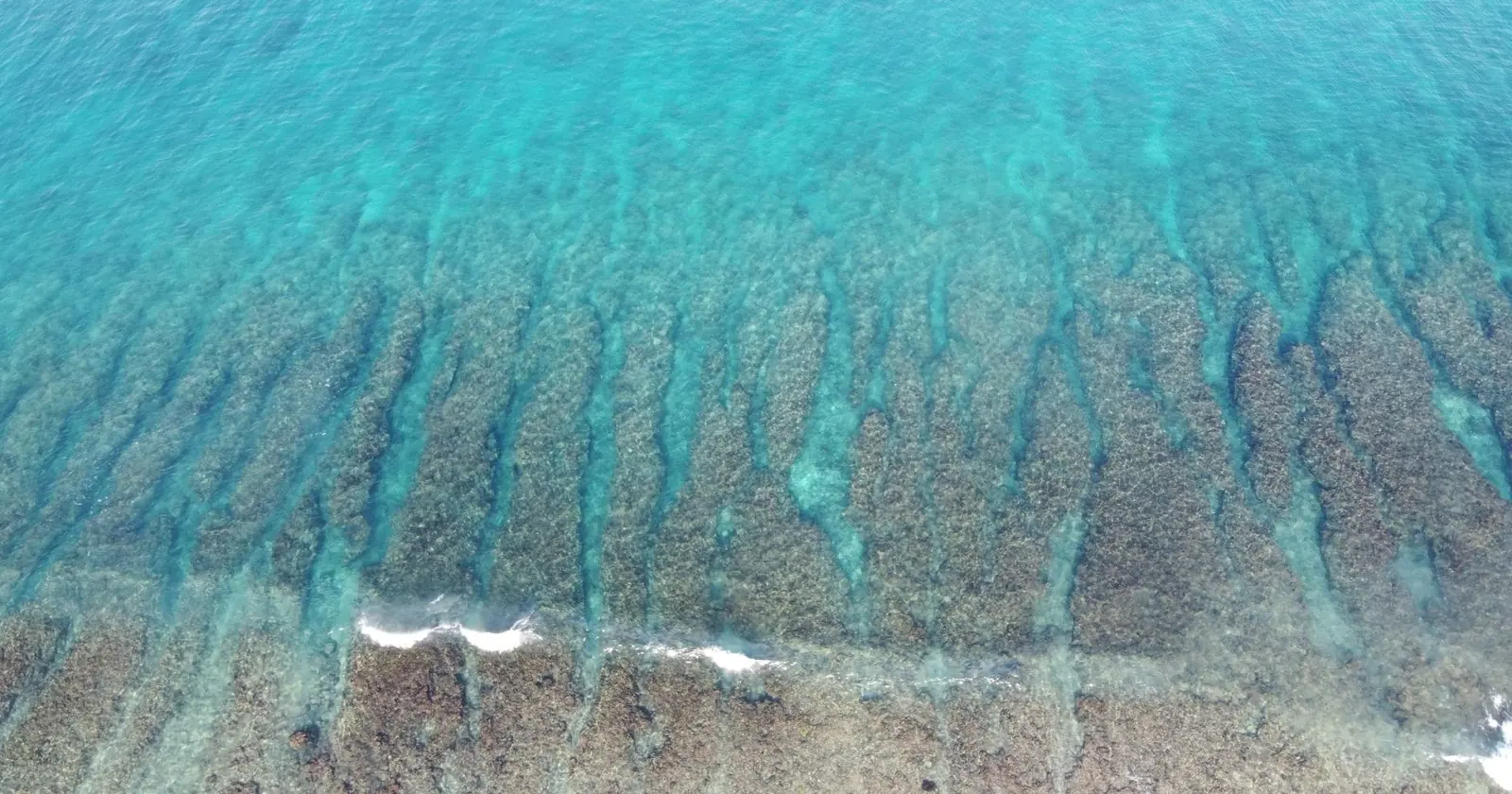 Semporna (Sipadan), Diving