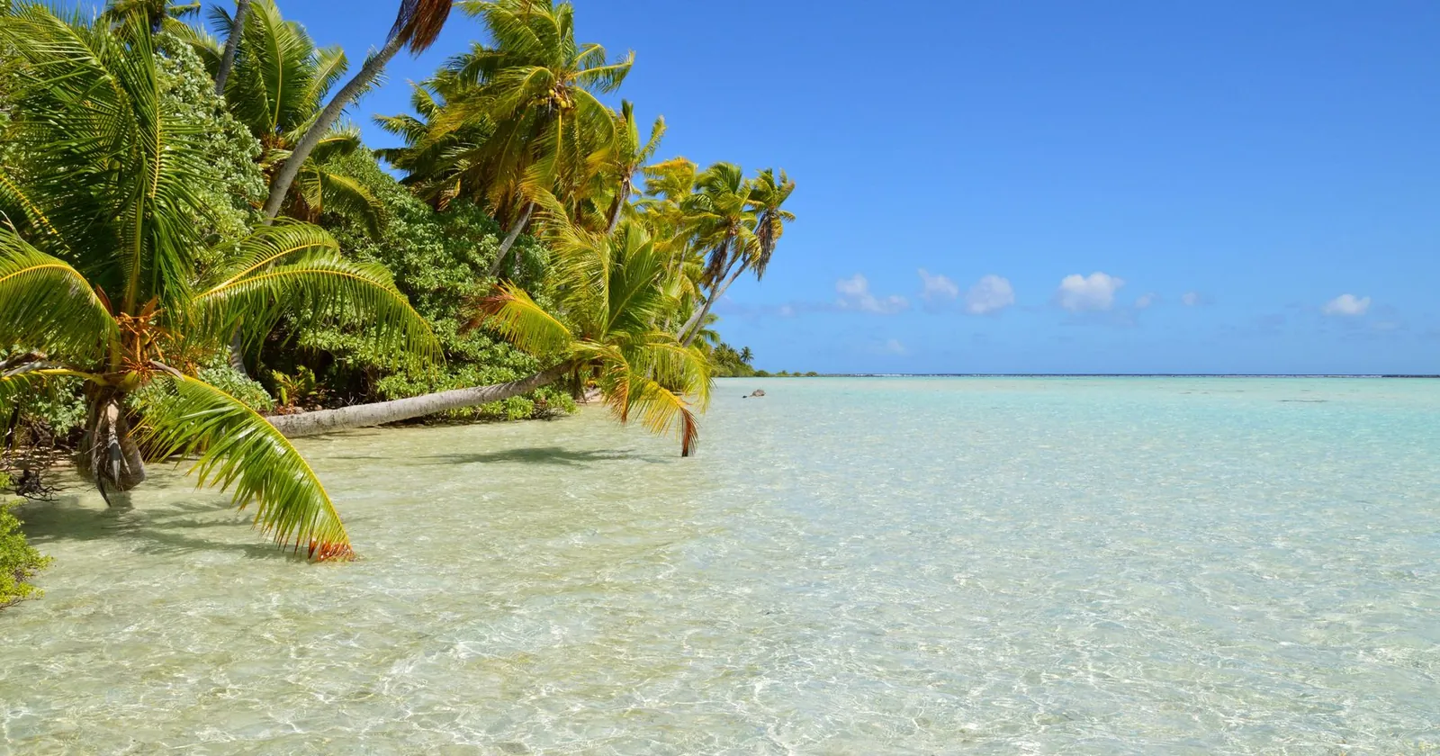 Surfer walking a palm-lined island path, the vibe of Siargao
