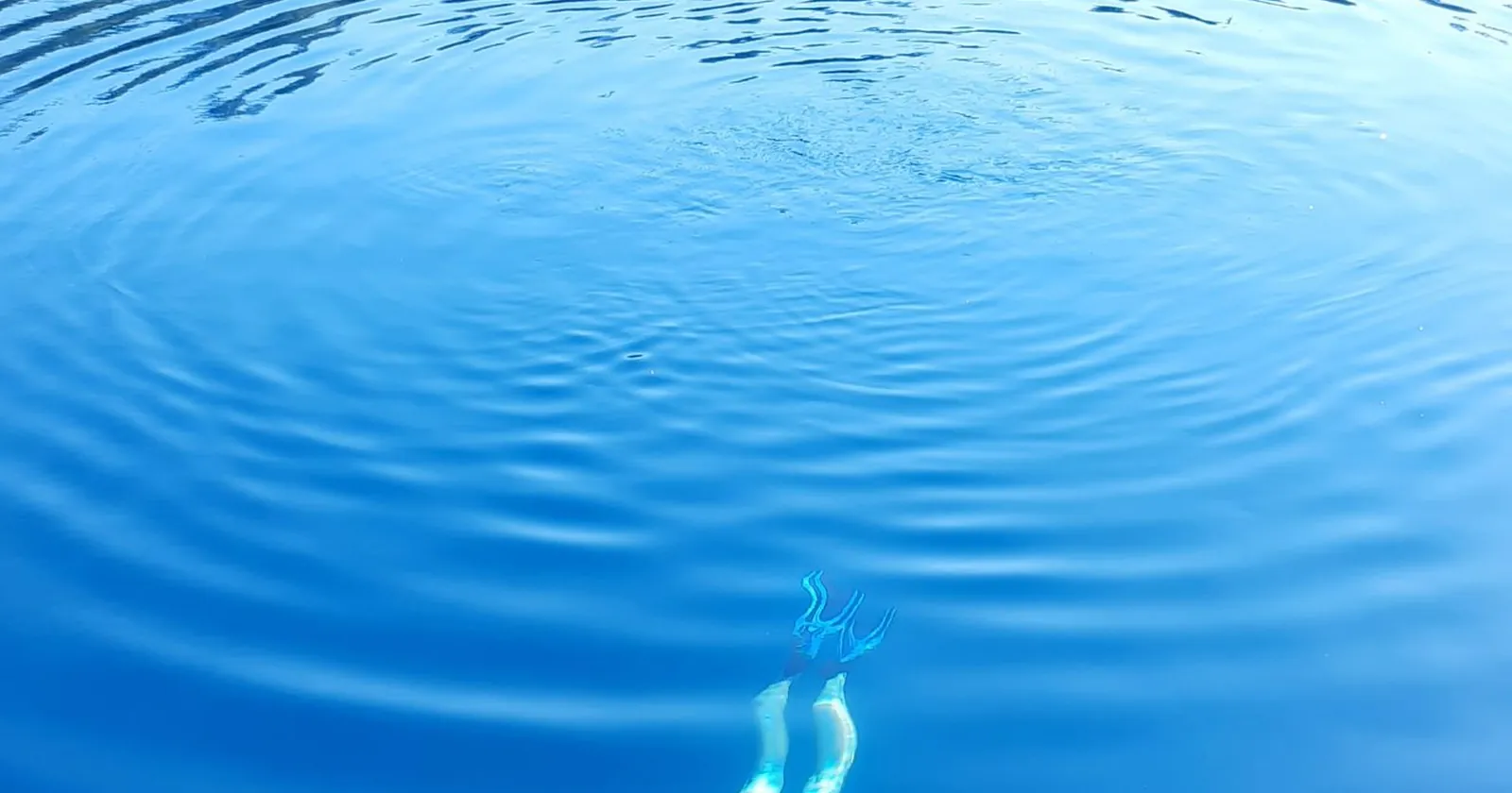 Snorkeller near a turtle over a reef, keeping a respectful distance