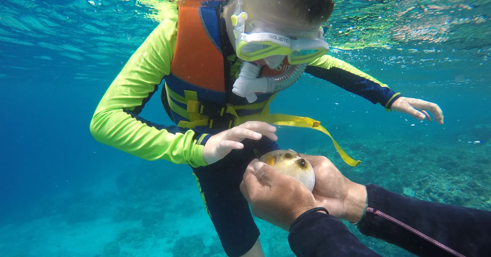 Child snorkelling in shallow calm water with an adult