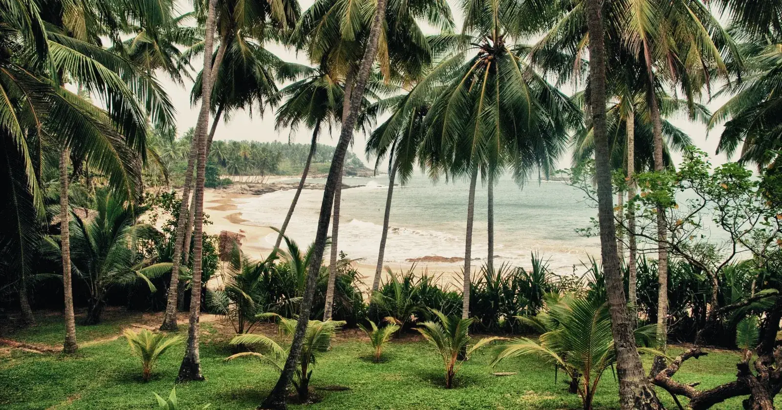 Longboard on a south-coast beach, surfing in Sri Lanka