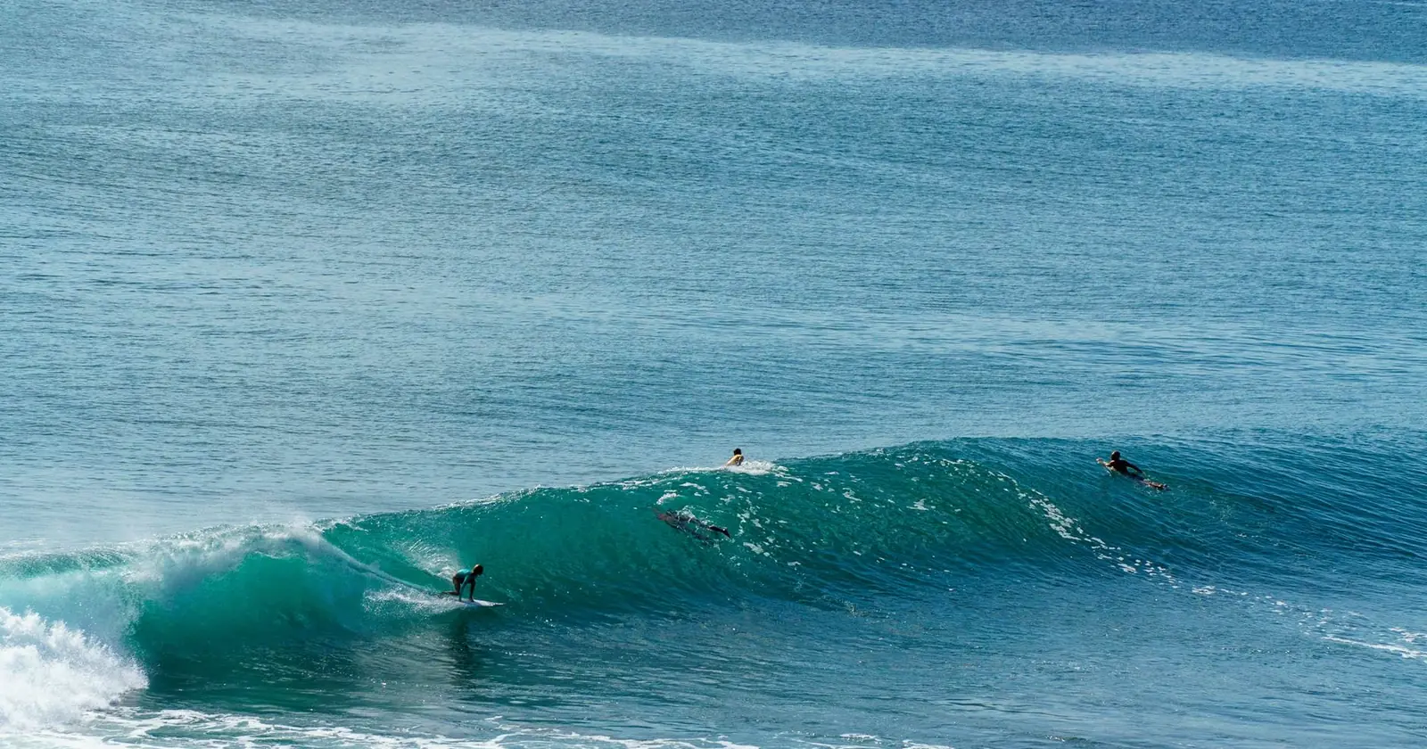 Sumbawa, surfing