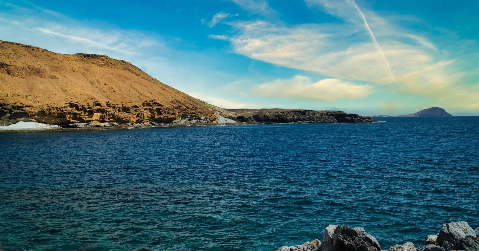 School of silvery jacks in blue Atlantic water, diving in Tenerife