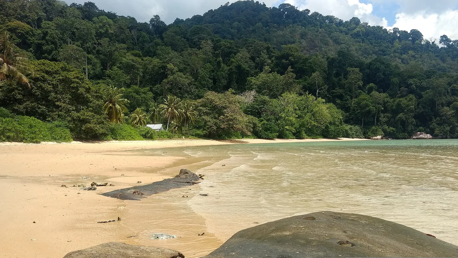 A bay on Pulau Tioman, Malaysia, seen from the forested shore