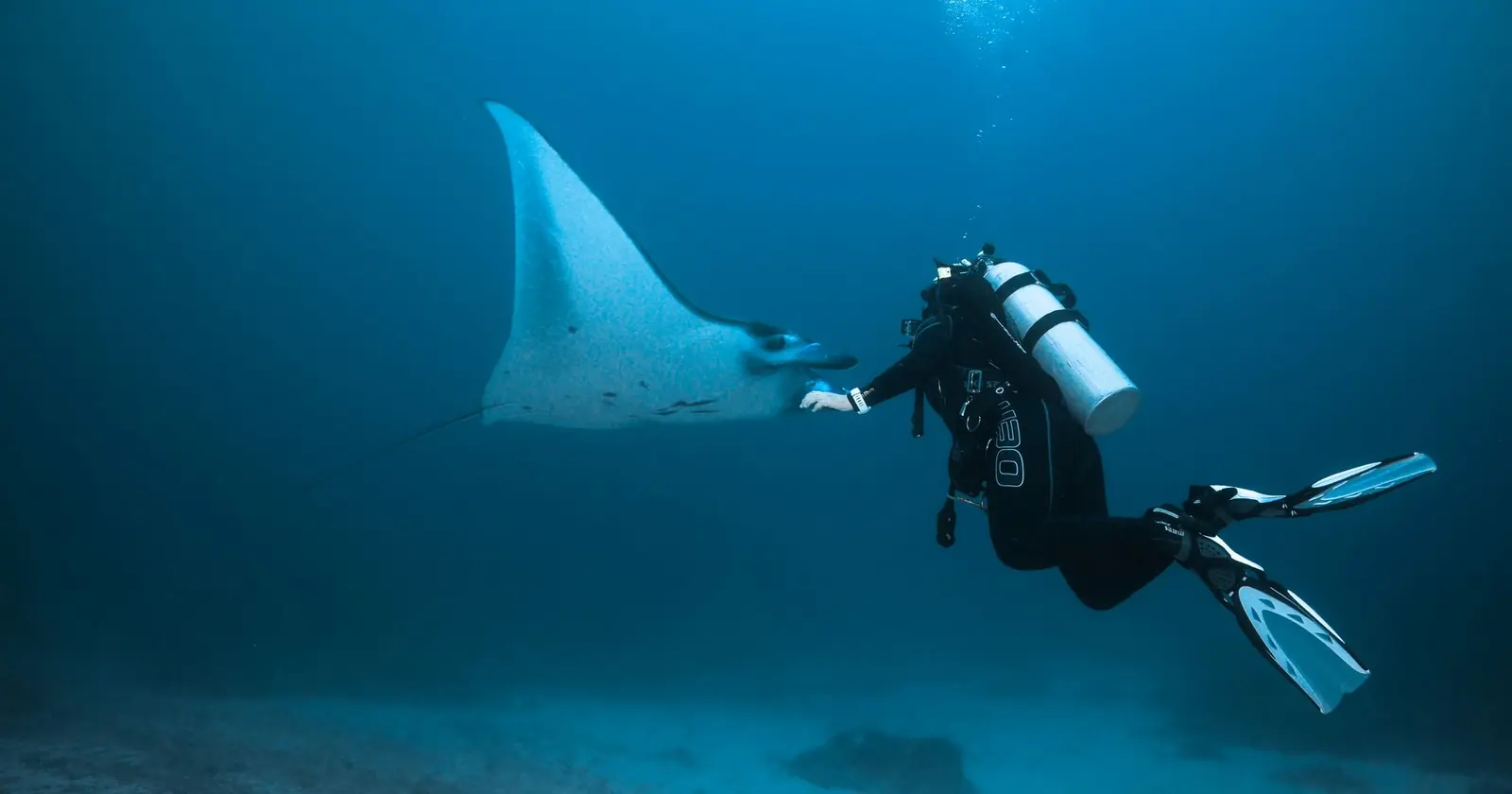 Tofo, Diving