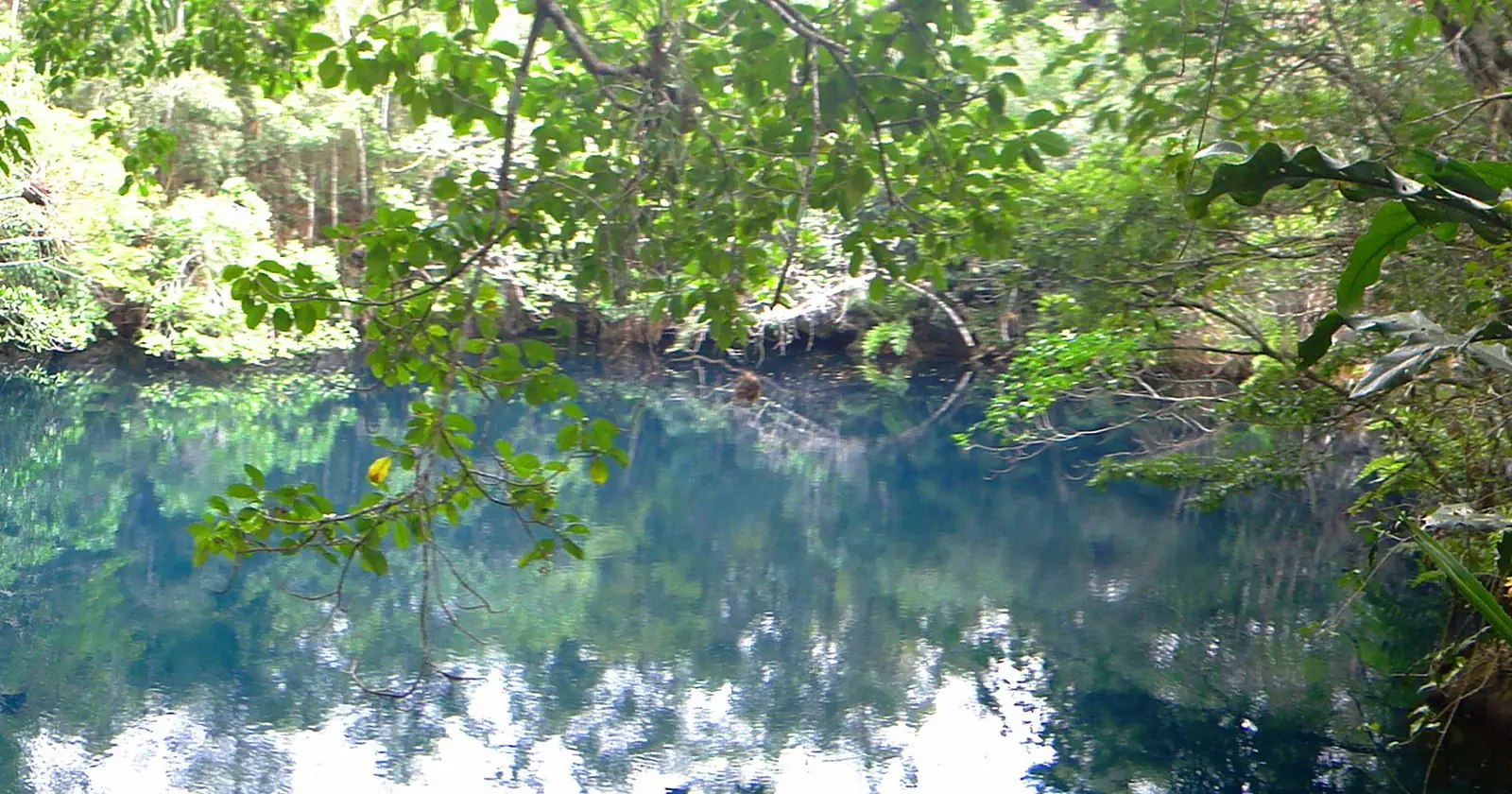 Divers in the Angelita cenote near Tulum, Mexico