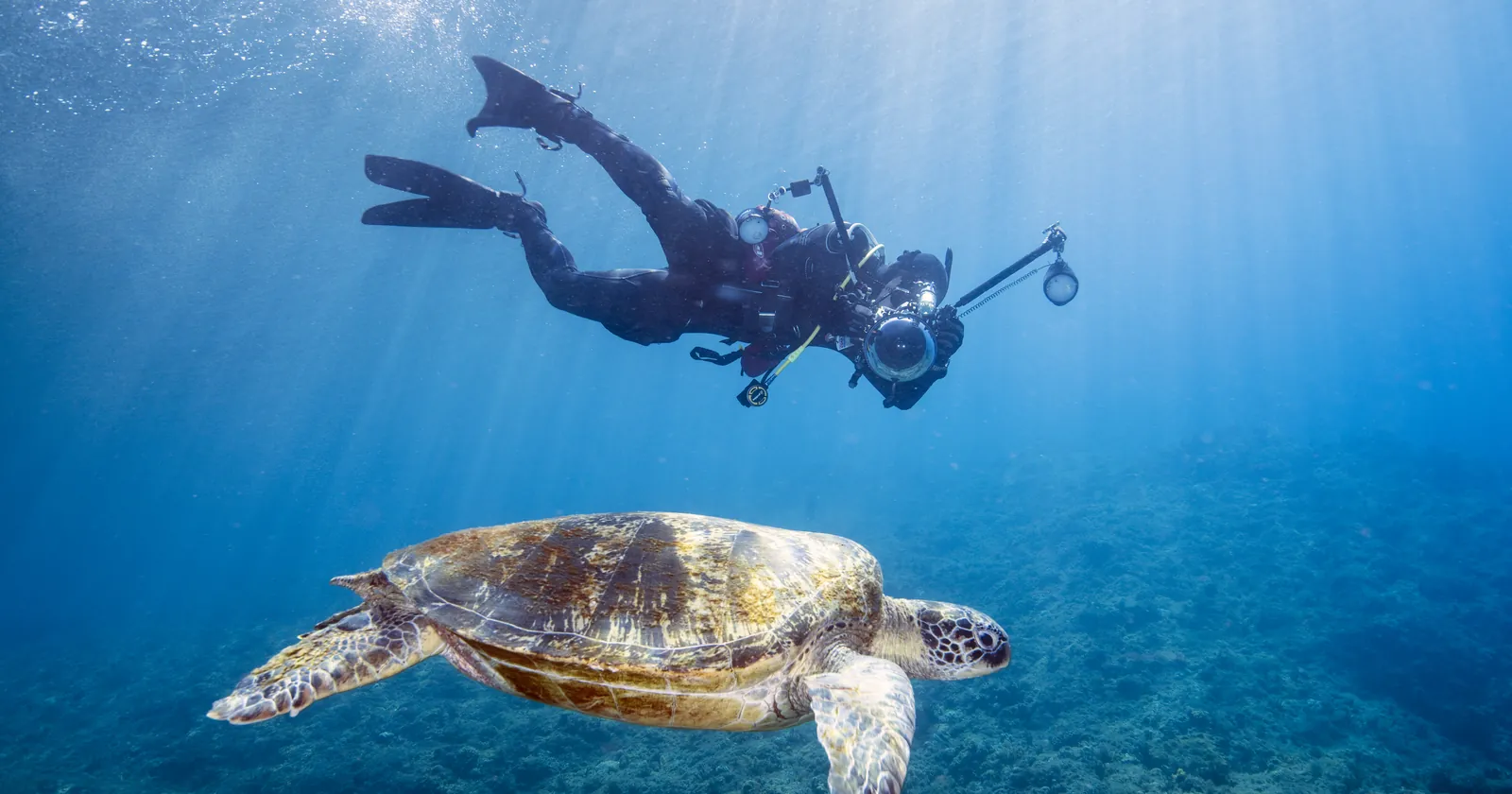 A scuba diver with a camera above a green turtle swimming over the reef in Xiaoliuqiu diving waters